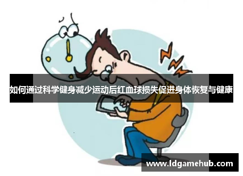 如何通过科学健身减少运动后红血球损失促进身体恢复与健康