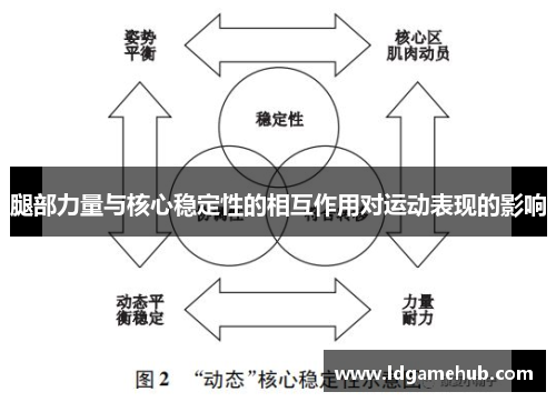 腿部力量与核心稳定性的相互作用对运动表现的影响